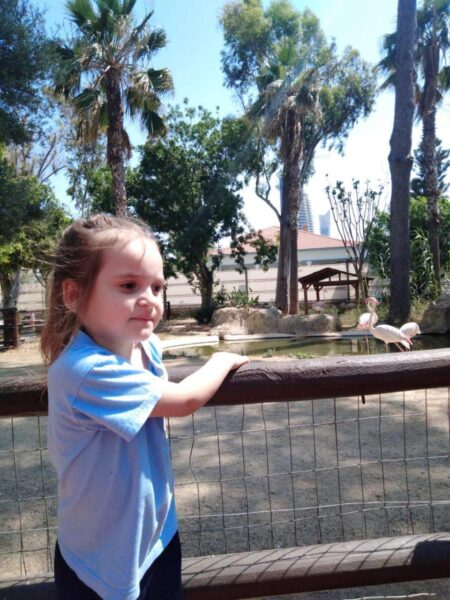 Our Kindergarten visited the Limassol Zoo (10)